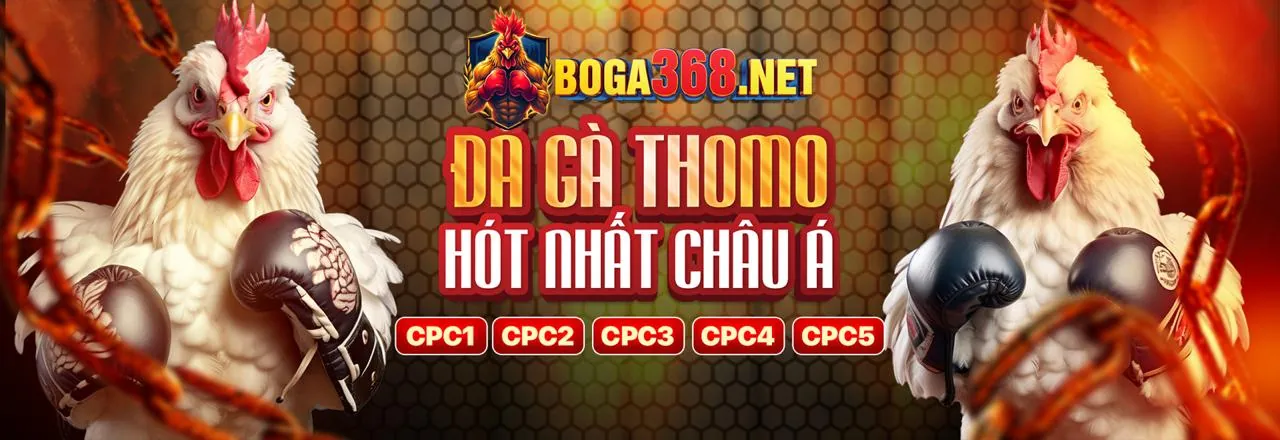 Đá Gà BJ27: Luật Chơi, Kỹ Thuật và Phân Tích Sự Kiện
