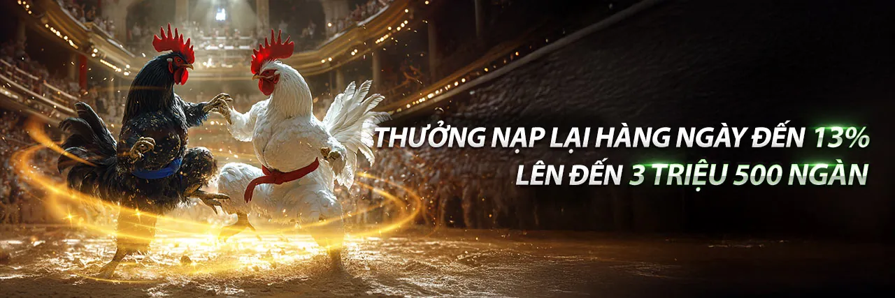 Sân đấu đá gà trực tiếp bj27 đầy kịch tính với khán giả hò reo